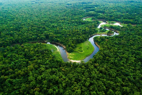 Grow Billion Trees: A Global Crusade Against Climate Change Led by Indian Army Veterans